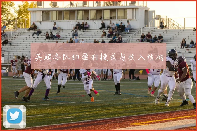 英超各队的盈利模式与收入结构