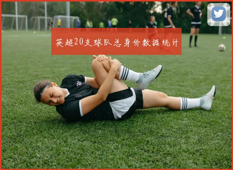 英超20支球队总身价数据统计
